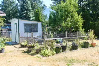 garden and garden shed