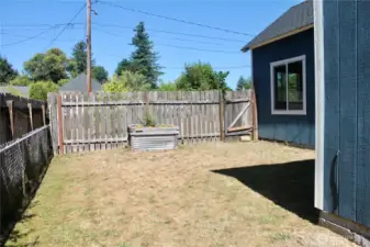 Other side of yard