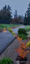 Photo from the fall