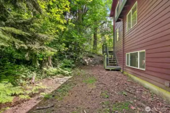 Back of house, the property includes the much of the wooded area behind the house, see the map for more detail