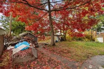 Lots of backyard potential, flat with a small terrace