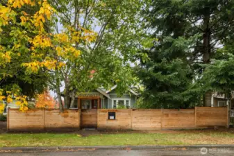 Fully fenced on a quiet, tree-lined street.