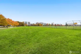 Located a walk-able distance from pigeon point