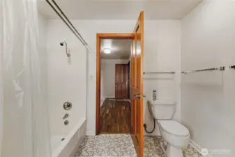 Guest bathroom
