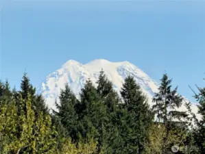 Panoramic Mount Rainier View