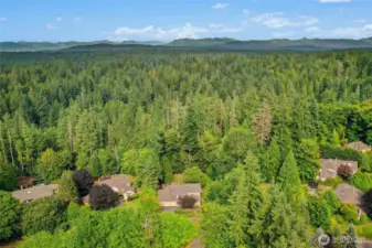 Welcome to Woodinville!