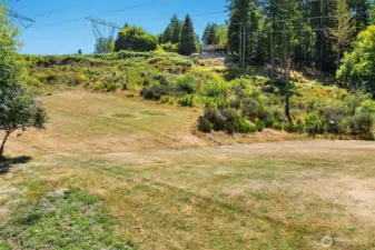 partial slope on this vast acreage. The goats help take care of this hill, no need to hire someone to cut your grass up here!