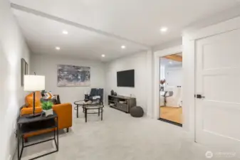 Garden level media / gym / whatever; beyond the locking door to permitted ADU/apartment.