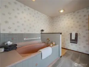 The generous bathroom off the primary suite has a large soaking tub and walk in closet.