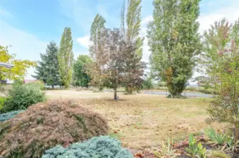 This is the front yard facing South