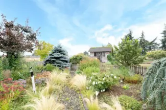 Water spout where you need it! She-shed in the bacground.