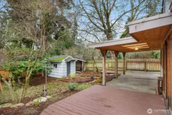 The South yard, showing the deck, carport, storage shed, and recycling bin shed.