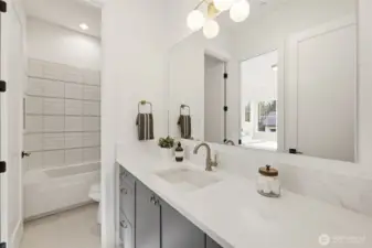 Lower level bathroom