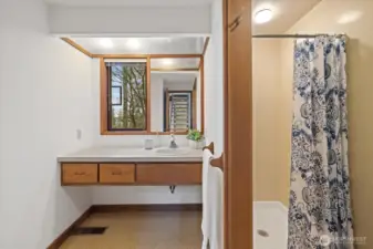 Lower Level Bathroom