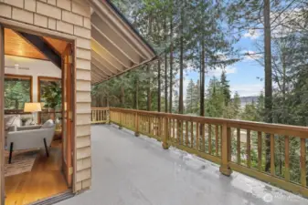 Lovely Deck - Views of the Lake