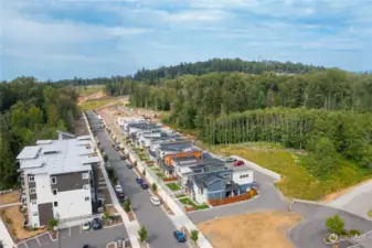 View of the first 10 of 30 homes completed at Crossridge looking up Creston Way which will eventually connect with James St.