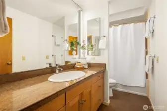 The full bath just outside the primary bedroom, features a skylight in the shower and an oversized vanity.