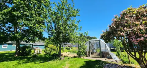 Green house included!!