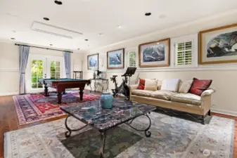 Large Bonus room off the garage