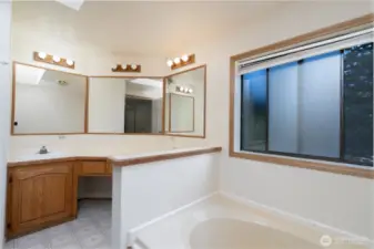 Primary bath with large soaking tub