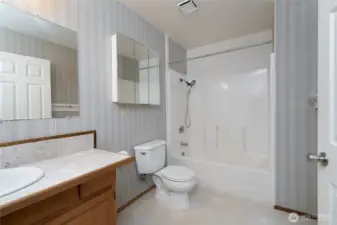 Lower level full bath