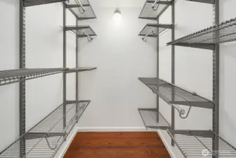 Primary suite: huge walk-in closet.