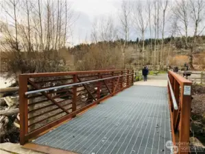 The marina connects to the waterfront park and the Burke Gilman Trail.