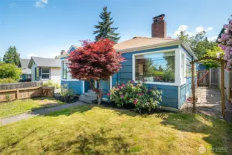 front yard with blooming rhododendrons