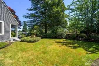 A view of the secluded garden area, perfect for peaceful afternoons or playtime with pets.