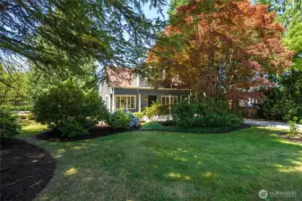 Stunning mature trees frame the home, creating privacy and shade for relaxing afternoons.