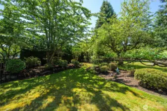 A lush, level yard with space to play, garden, or simply unwind under the canopy of old-growth trees.