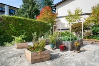 Community garden