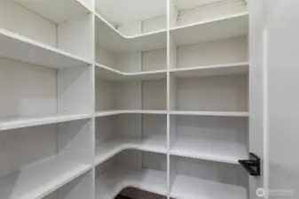 and a wonderful walk-in panty with built-in shelving.