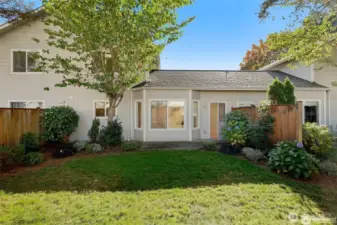 Here is the back yard - ready for your lounge chairs and morning coffee