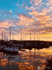 South Park marina a block away