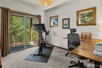 Second lower-level bedroom.