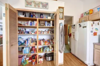 Large pantry closet