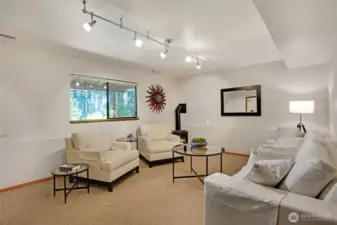 Gas Stove in Lower Bonus room includes closet.