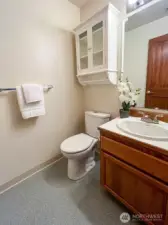 Powder room on Lower level adjacent to Laundry and Extra Finished room/Bonus room