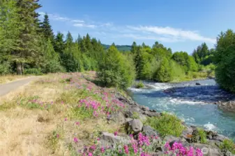 Dungeness River Trail