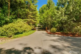 Stately gated entry framed by lush, mature landscaping and timeless allure.