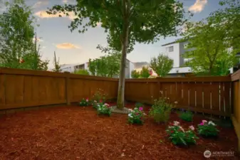 Front Yard is fenced
