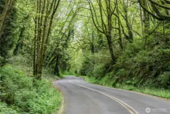 The road home to Woodmont Beach
