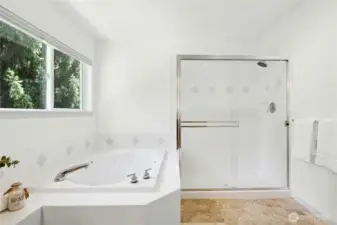 Another look at the primary bathroom.