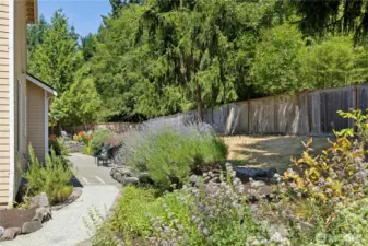 Another look at the yard and mature plantings.