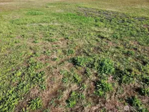 Vacant Corner Lot! More pictures to come.