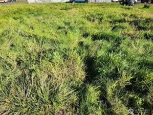 Vacant Corner Lot with a view!