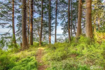 Trails along the shoreline with vistas to mountains and the islands of the archipelago.