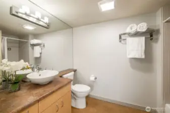 Spacious full bath with new sink, adjacent to the primary bedroom.