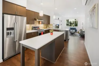 Stainless steel premium appliances convey with the property.